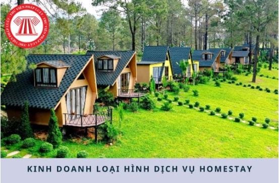 Dịch vụ thuế hộ kinh doanh - Thuế hộ kinh doanh homestay 2025